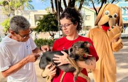 Homem com camiseta branca aplica vacina em um cachorro de pelo preto e marrom, segurado no colo por uma mulher de camiseta vermelha e óculos. Ao fundo, um mascote fantasiado de cachorro observa a cena. 