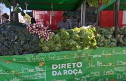 A imagem mostra uma barraca de feira identificada por uma faixa verde na parte inferior da estrutura, com os dizeres “Direto da Roça”. Sobre a barraca estão expostas uma variedade de hortaliças, como alfaces, folhas verdes, rabanetes e cebolinhas, além de cachos de bananas verdes pendurados na cobertura. 