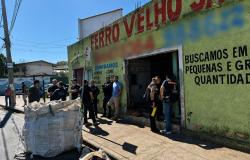 Imagem mo0stra vários fiscais na porta de um estabelecimento que comercializa ferro-velho. Além dos fiscais há várias pessoas e um grande saco branco.
