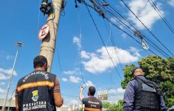  Foto mostra três agentes da Prefeitura de Belo Horizonte em uma via da cidade, sob um céu azul com nuvens. Dois deles usam coletes pretos com faixas refletivas laranja e a inscrição “Fiscalização – Prefeitura de Belo Horizonte”. O terceiro veste uniforme azul-escuro e colete com a identificação “Guarda Municipal Belo Horizonte”. Os agentes observam e fiscalizam uma grande quantidade de fios e cabos instalados de forma desorganizada em postes. Um dos fiscais, ao centro, segura um cabo que está pendurado.