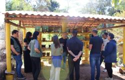 Biofábrica de joaninhas e meliponários colocam BH na rota do turismo sustentável