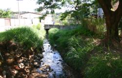 Imagem de um córrego urbano localizado em Belo Horizonte, ladeado por vegetação e árvores