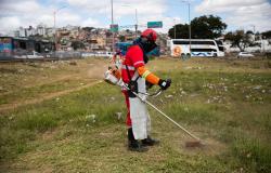 Trabalhador usando equipamento e roupa da PBH faz a manutenção às margens do Novo Anel