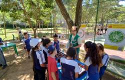 Parque da cidade terá ação educativa no pré-Carnaval