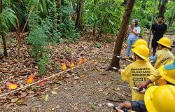 Crianças com uniformes amarelos de brigadistas participam de atividade lúdica de combate ao fogo, sob supervisão de educadores ambientais e profissionais. 