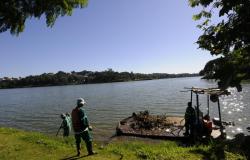 Procuradoria-Geral do Município processa Copasa por esgoto na Lagoa da Pampulha