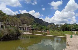 Prefeitura de BH promove simulado de combate a incêndios florestais no Parque das Mangabeiras