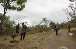 Ações preventivas da PBH reduzem em 77% os incêndios em parques municipais