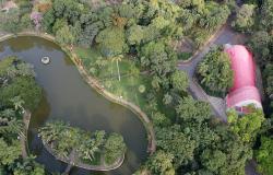 Vista aérea do Parque Municipal, com a lagoa e o teto do Teatro Francisco Nunes em meio ao verde