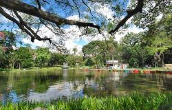 Imagem do Parque Municipal