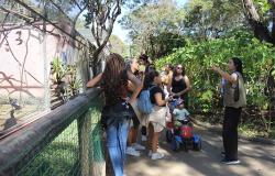 Atividades de educação ambiental reúnem mais de 45 mil pessoas nos parques e Zoobotânica de BH no primeiro semestre