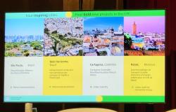 PBH recebe prêmio internacional com projeto para enfrentamento do calor e inundações