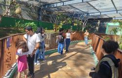 Recinto de Imersão de Aves do Zoológico poderá ser visitado neste domingo (24)