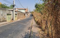 Fotografia de uma rua residencial em área urbana. A via é asfaltada, estreita e segue em aclive. À esquerda, há casas simples, muros e portões, além de um poste de concreto com vários fios de energia. À direita, há uma calçada estreita e um terreno com vegetação alta, seca e bastante densa. No centro da rua, mais ao fundo, há um carro estacionado. O céu está claro e o dia aparenta estar ensolarado.