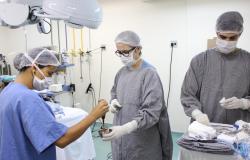 PBH reforça ações para reduzir tempo de espera para exames, consultas e cirurgias eletivas