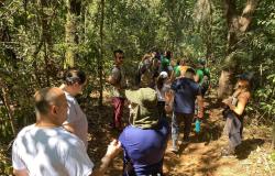 Trilha gratuita apresenta a biodiversidade do Parque Ursulina de Andrade Mello