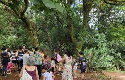 Várias pessoas caminham por uma trilha no Parque Jacques Custeau. No grupo há mulheres, crianças e homens. Várias arvores aparecem na margem da trilha.