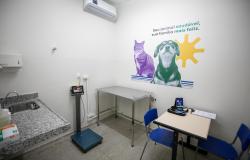 Prefeitura altera canal para agendamentos de procedimentos veterinários em BH