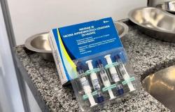 A imagem mostra uma caixa com doses da vacina Pneumo 20, em uma bancada de granito. 