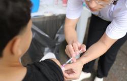 Dia D: Mobilização em 155 pontos garante quase 8 mil doses de vacinas na capital