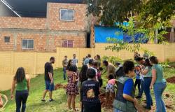 Prefeitura de BH lança o programa Escola Verde