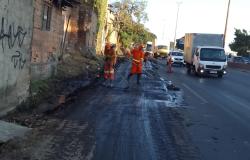 Mais de 12 toneladas de resíduos são recolhidas por dia pela Prefeitura no Novo Anel