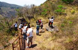 Fim de semana será de programação gratuita do projeto Férias nos Parques e na Zoobotânica
