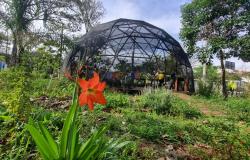 Prefeitura de BH abre inscrições para 200 vagas gratuitas em curso de agroecologia