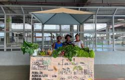 Feira da Agricultura Urbana será inaugurada na Rua Sapucaí