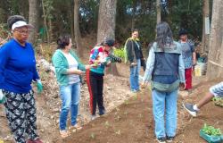 Ação da PBH promove a preservação ambiental e segurança alimentar no Aglomerado da Serra