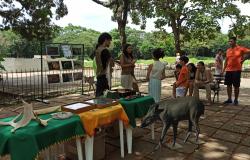 Zoológico promove a conscientização ambiental neste mês de setembro