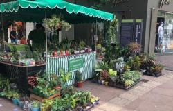 Feira do Sagrada Família volta a funcionar neste domingo (30) com 40 barracas