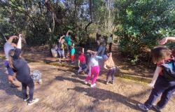 Parques municipais e Zoobotânica oferecem atividades gratuitas em BH