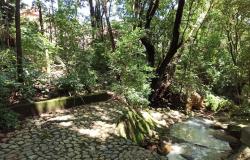 Parque Caiçara celebra aniversário com trilha sensorial e debate sobre emergência climática