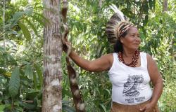 II Jornada CULTAA promove a valorização dos saberes afro-brasileiros e indígenas