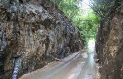 Trecho de via estreita entre paredões de pedra, cercado por vegetação densa, com pista molhada.