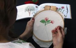 Mão feminina borda em aro circular flor de um livro ilustrado. 