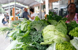 Prefeitura publica lista de feirantes para comercialização de alimentos