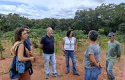 Urbel apresenta Programa Estrutural em Áreas de Risco a representantes da Prefeitura de Porto Alegre