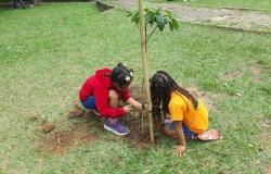 Duas meninas, alunas da Rede Municipal e do Programa Escola Integrada, plantam muda de árvore