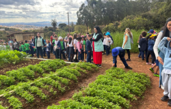#paratodosverem: A imagem mostra um grupo grande de crianças e adultos em uma horta ao ar livre, sob um céu parcialmente nublado. As crianças observam e interagem com as plantas, acompanhadas por professoras e monitoras vestindo coletes verdes. Há canteiros bem cuidados com vegetação verde e um caminho de terra por onde o grupo caminha. Ao fundo, veem-se árvores, um pequeno galpão e uma vista ampla da cidade.