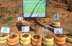 #paratodosverem: Um espaço de terra com morros e um grande cartaz que o identifica como "Ponto Limpo", com a proibição de descarte de lixo. Pneus de carro pintados de amarelo se tornaram vasos para pequenas plantas. No local, placas artesanais com mensagens como "Cuidar do meio ambiente é dever de todos" reforçam a conscientização.