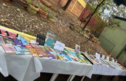 #paratodosverem: Em mesas cobertas com toalhas brancas, vários livros coloridos estão expostos ao ar livre, em frente a um jardim com pneus pintados usados como floreiras. As capas chamam a atenção pela diversidade de temas e cores.