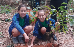 #paratodosverem: na imagem, duas meninas com uniforme escolar estão agachadas na terra, com uma muda recém plantada em sua frente. As alunas sorriem e tocam a terra com uma das mãos. 