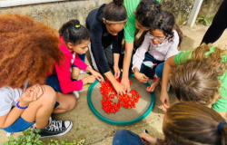 #paratodosverem: na foto, sete crianças estão agachadas no chão em círculo ao redor de uma grande peneira com várias pimentas biquinho colhidas. Elas tocam os frutos e parecem conversar sobre a colheita.