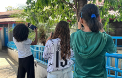 #paratodosverem: Três meninas estão de costas, cada uma segurando um celular para tirar fotos de uma árvore com folhas verdes. Elas estão em área externa, próxima a um prédio com telhado vermelho e muros azuis, cercada por grades azuis. Uma veste camiseta branca, outra camiseta clara com número 13 e a terceira, um casaco verde.