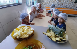 #paratodosverem: A imagem mostra um grupo de crianças sentadas em volta de uma mesa, todas usando toucas higiênicas brancas. À frente, há pratos com pedaços de abacaxi, cascas da fruta e folhas verdes, possivelmente hortelã. As crianças parecem atentas e sorridentes, participando de uma atividade em um ambiente escolar com paredes de azulejo colorido.