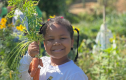 #paratodosverem: A imagem mostra uma criança sorridente segurando cenouras recém-colhidas com as folhas ainda presas, em um ambiente de horta. Ela veste uma camiseta branca com o brasão e a inscrição "Prefeitura de Belo Horizonte". Ao fundo, há vegetação verde e flores amarelas.