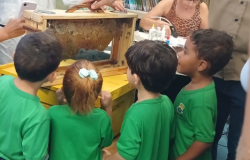 #paratodosverem: Quatro crianças de camisa verde observam atentas uma caixa de acrílico e madeira com um favo de mel dentro. Uma mão adulta segura a alça da caixa sobre um suporte amarelo. A menina no centro usa um laço claro no cabelo ruivo. Ao fundo, uma mulher de óculos e regata estampada trabalha em uma mesa com livros e frascos, enquanto alguém à esquerda segura um celular para registrar a cena.