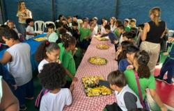#paratodosverem: Crianças reunidas ao redor de mesas participam de uma atividade sobre alimentação saudável em ambiente escolar. Sobre toalhas xadrez vermelhas e brancas, há quatro bandejas com frutas variadas. Enquanto experimentam os alimentos, os alunos interagem entre si e são acompanhados por educadoras.
